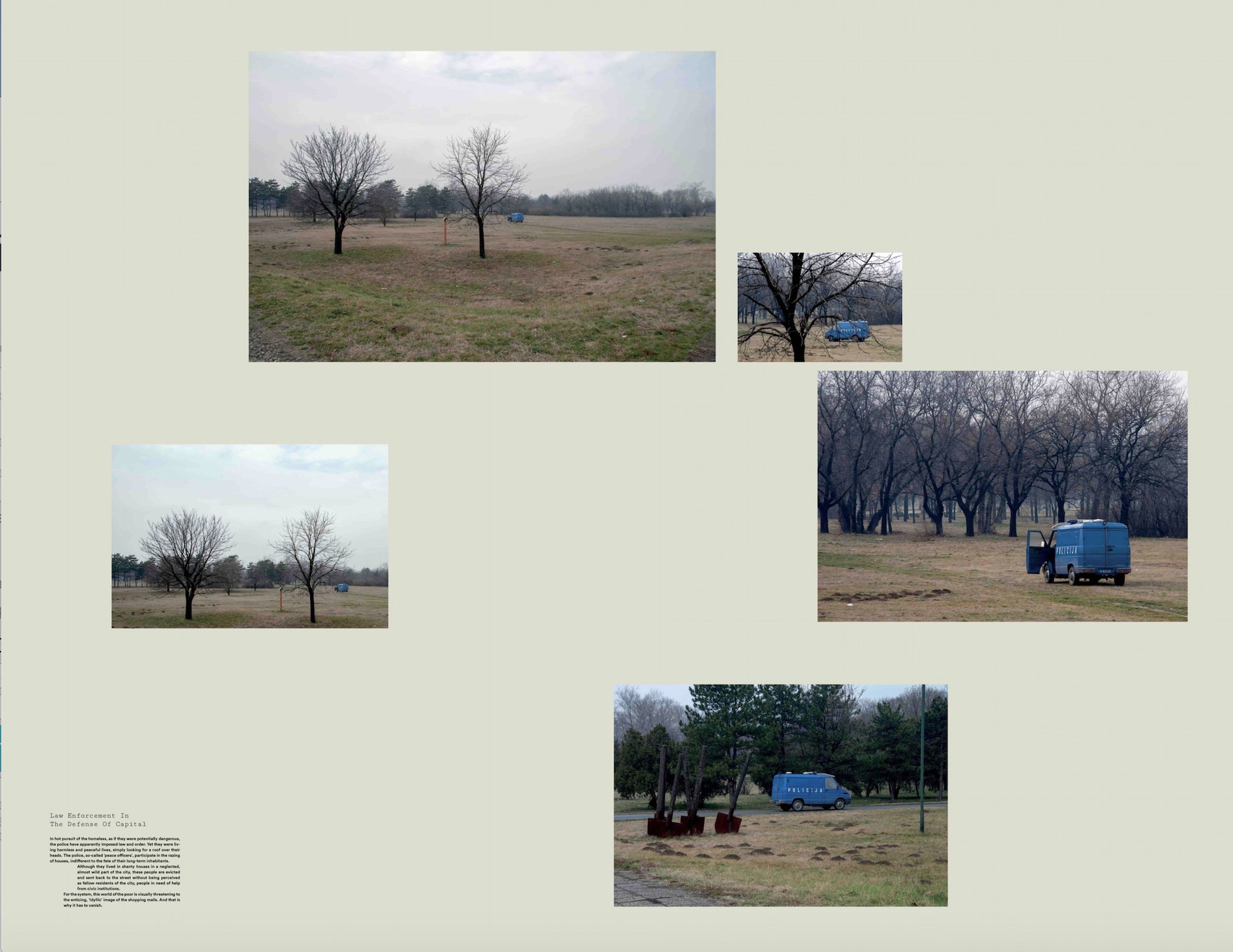 Wild House (Scattered things) Wild House (Scattered things)