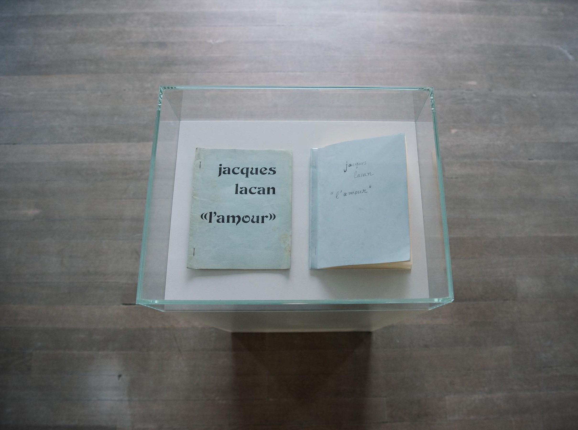 Dora Garcia L‘Amour, 2018 original pirate copy of the lecture "L‘Amour" by Jacques Lacan, double book created by annotating the first one, with original notes and drawings by the artists, pencil on paper.
