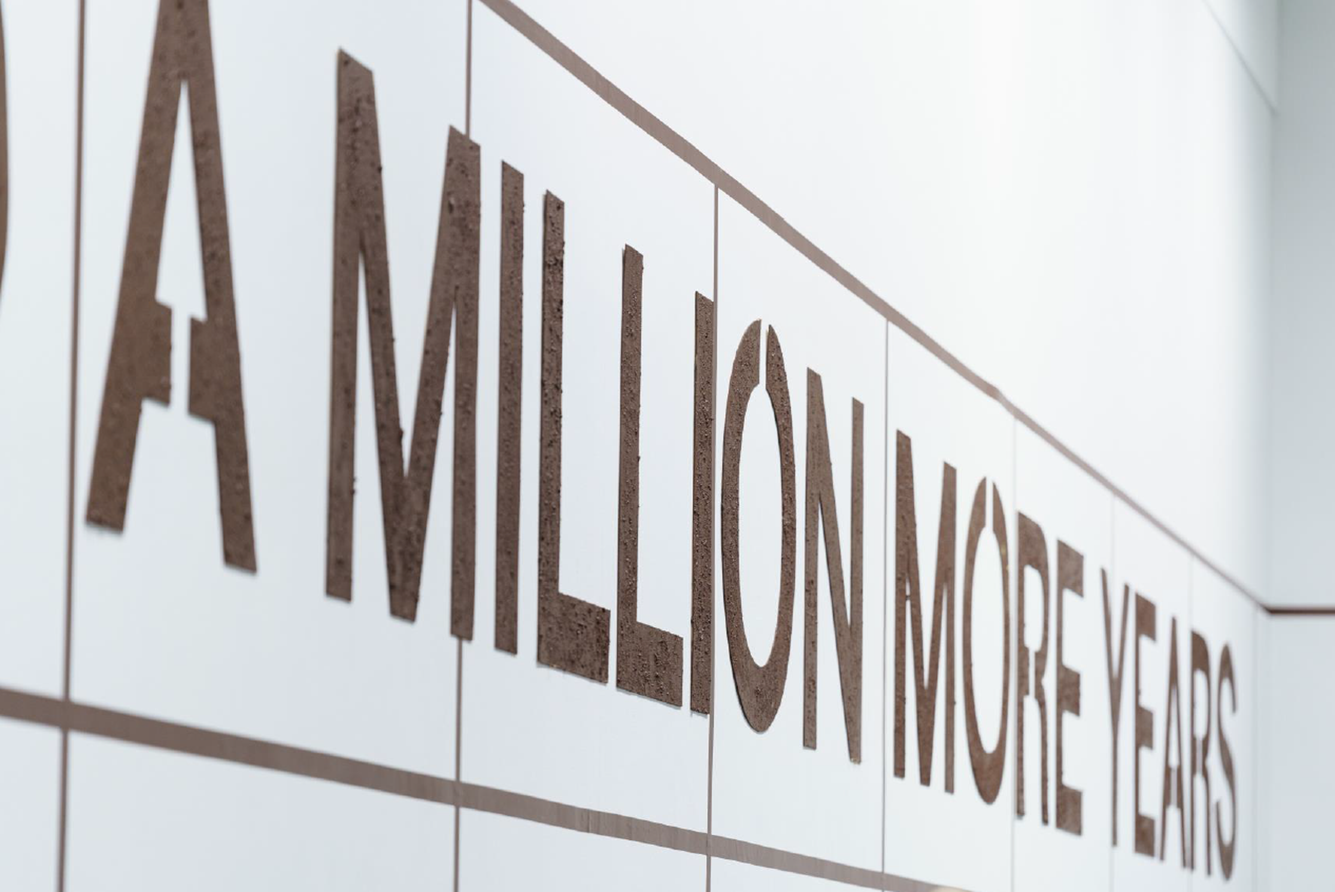 We Demand a Million More Years (text piece # 2022 Jonas Staal Wood, paint, soil, approximately 95x2970 cm
