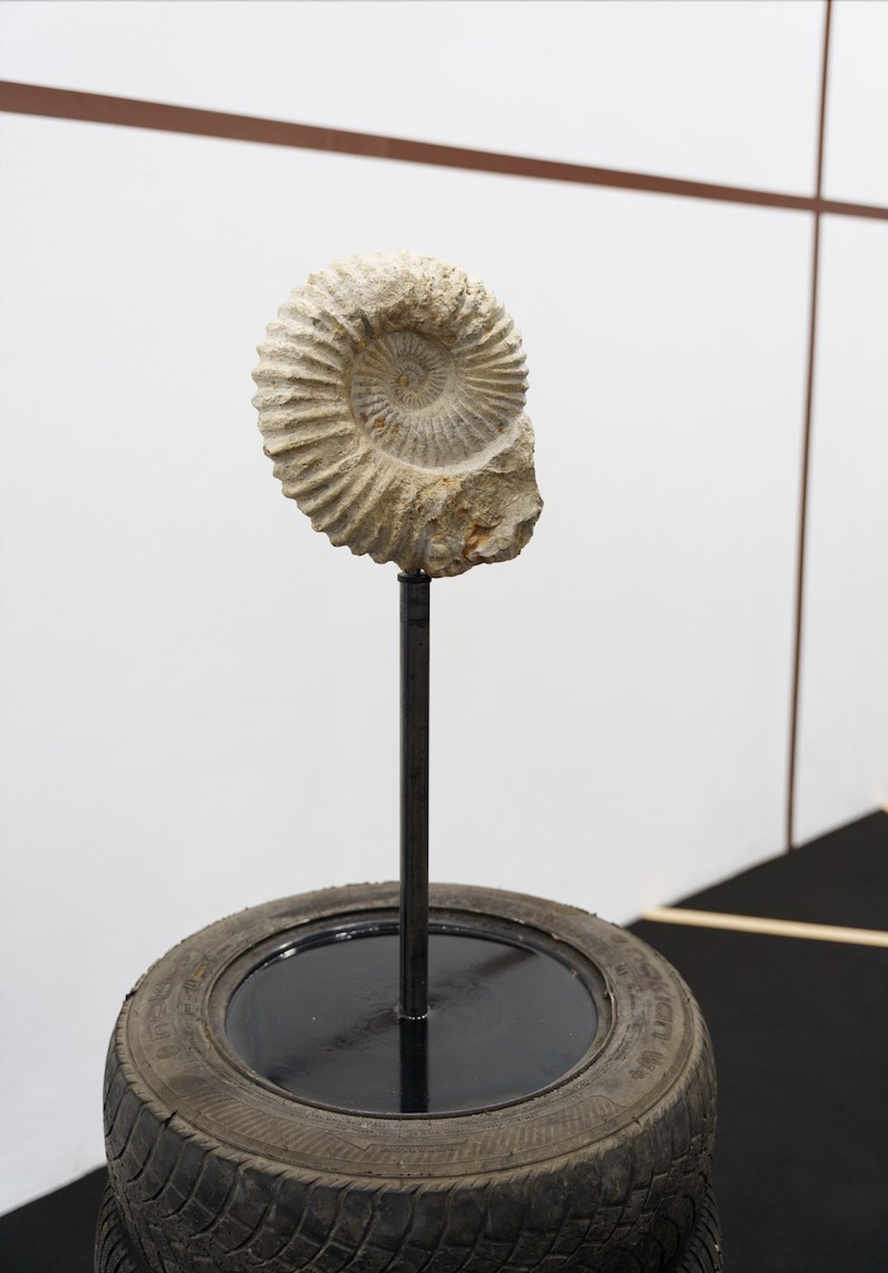 Jonas Staal WE DEMAND A MILLION MORE YEARS (small sculpture), 2022 ​​​​​​​Ammonite fossils of approximately 100 million years old, metal rods, hardened oil, 2 defunct car tires