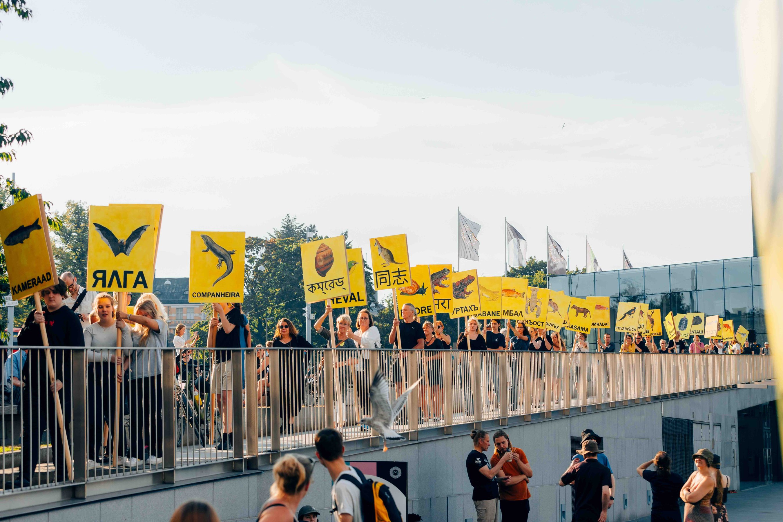 Helsinki Festival, photo credit: Petri Anttila