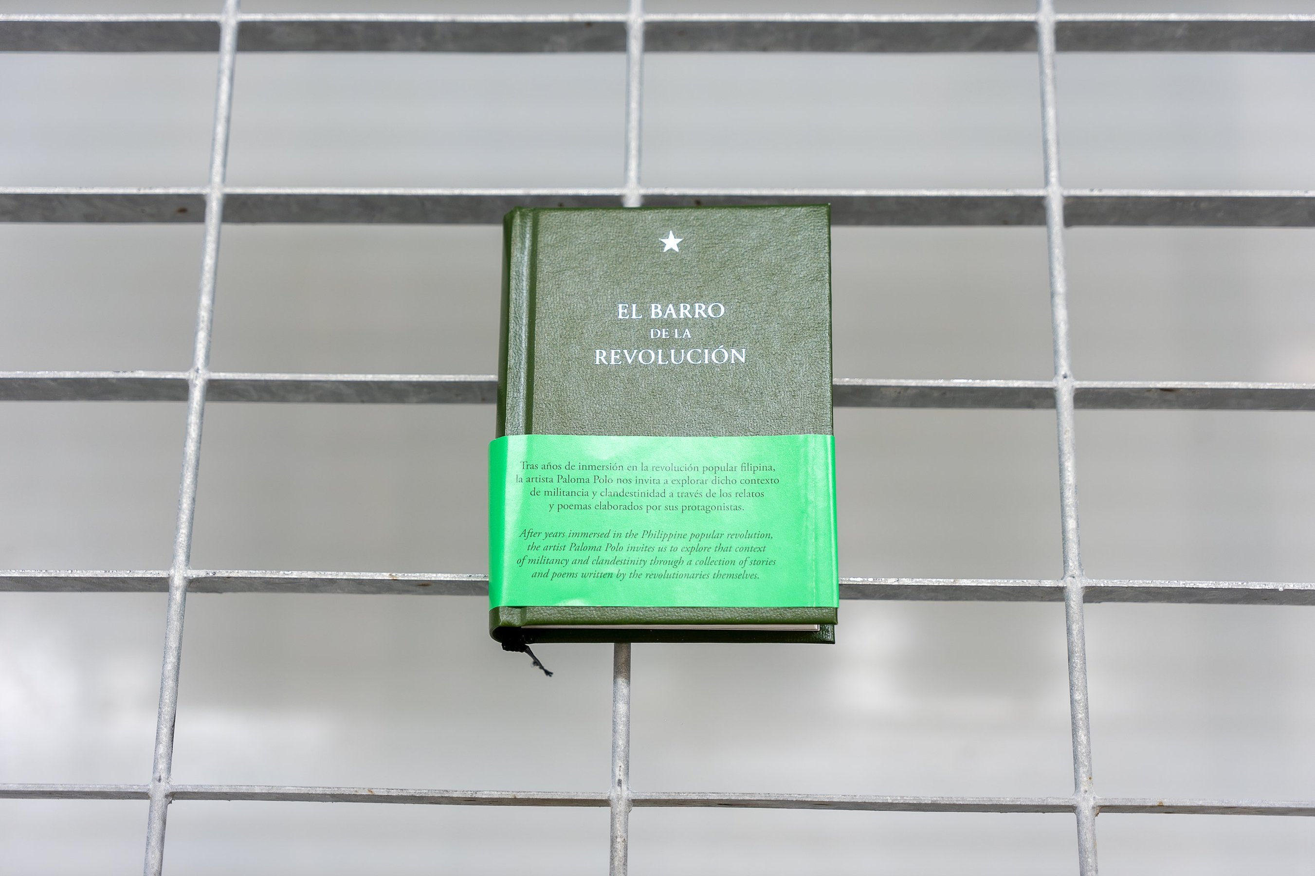 Installation view, Paloma Polo, El Barro de la Revolución, book, 2019, courtesy the artist