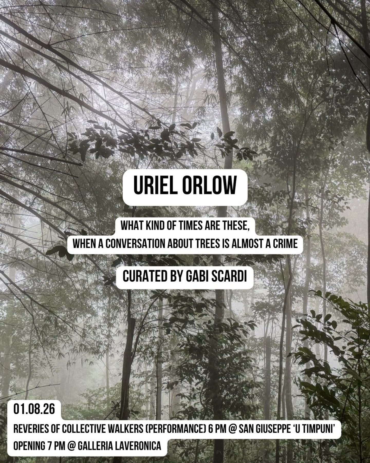 What kind of times are these, when to talk about trees is almost a crime