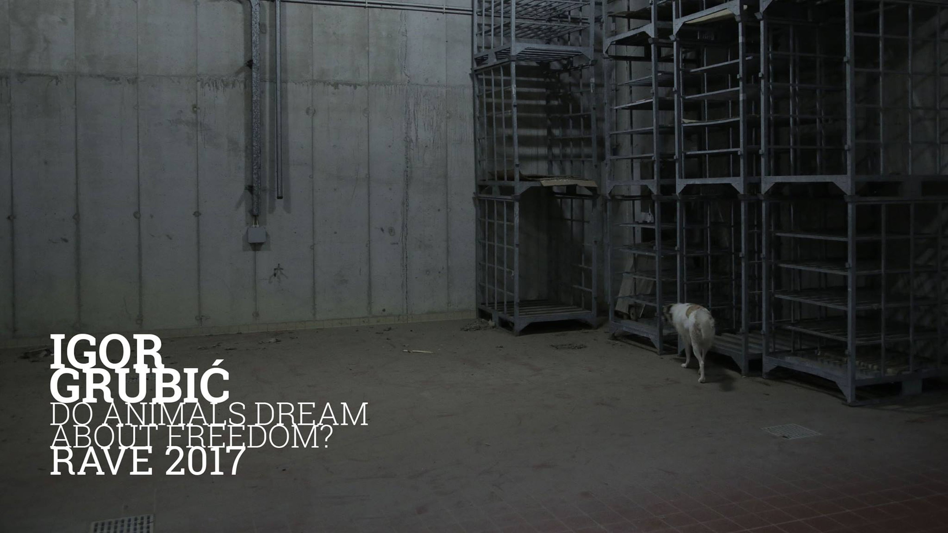 Do animals dream about freedom?