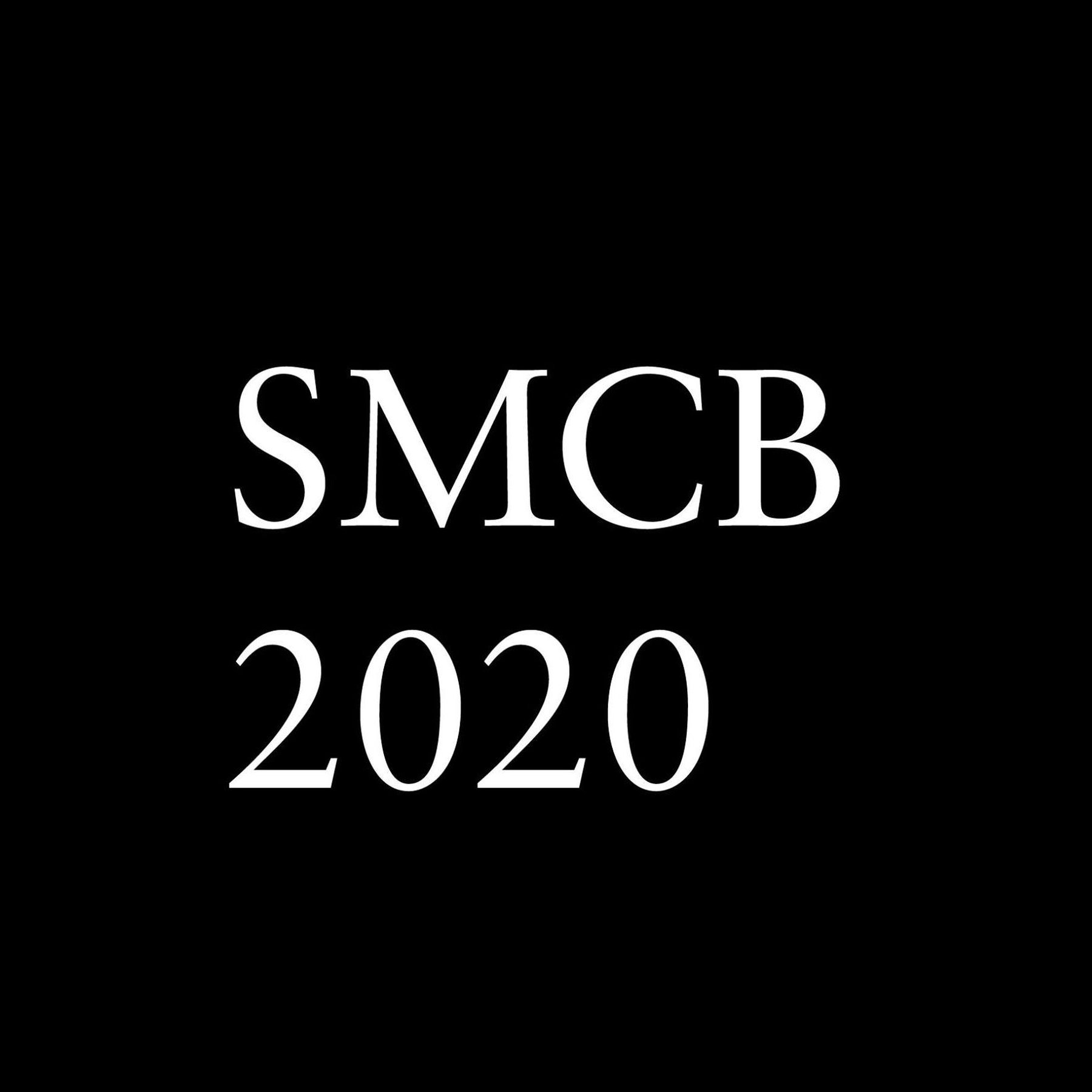Seoul Mediacity Biennale 2020